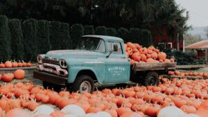image of a truck with pumpkins